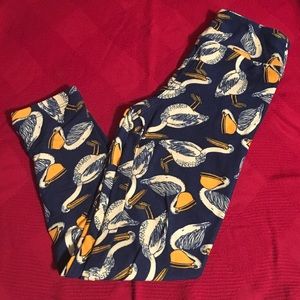 Lularoe S/M Pelicans